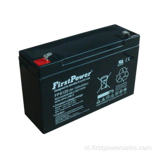 Beste Aa oplaadbare 6V6AH-batterijoplader